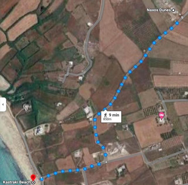 Villa Dione, Private Pool & Seaview By Naxos Dunes Kastrákion 外观 照片