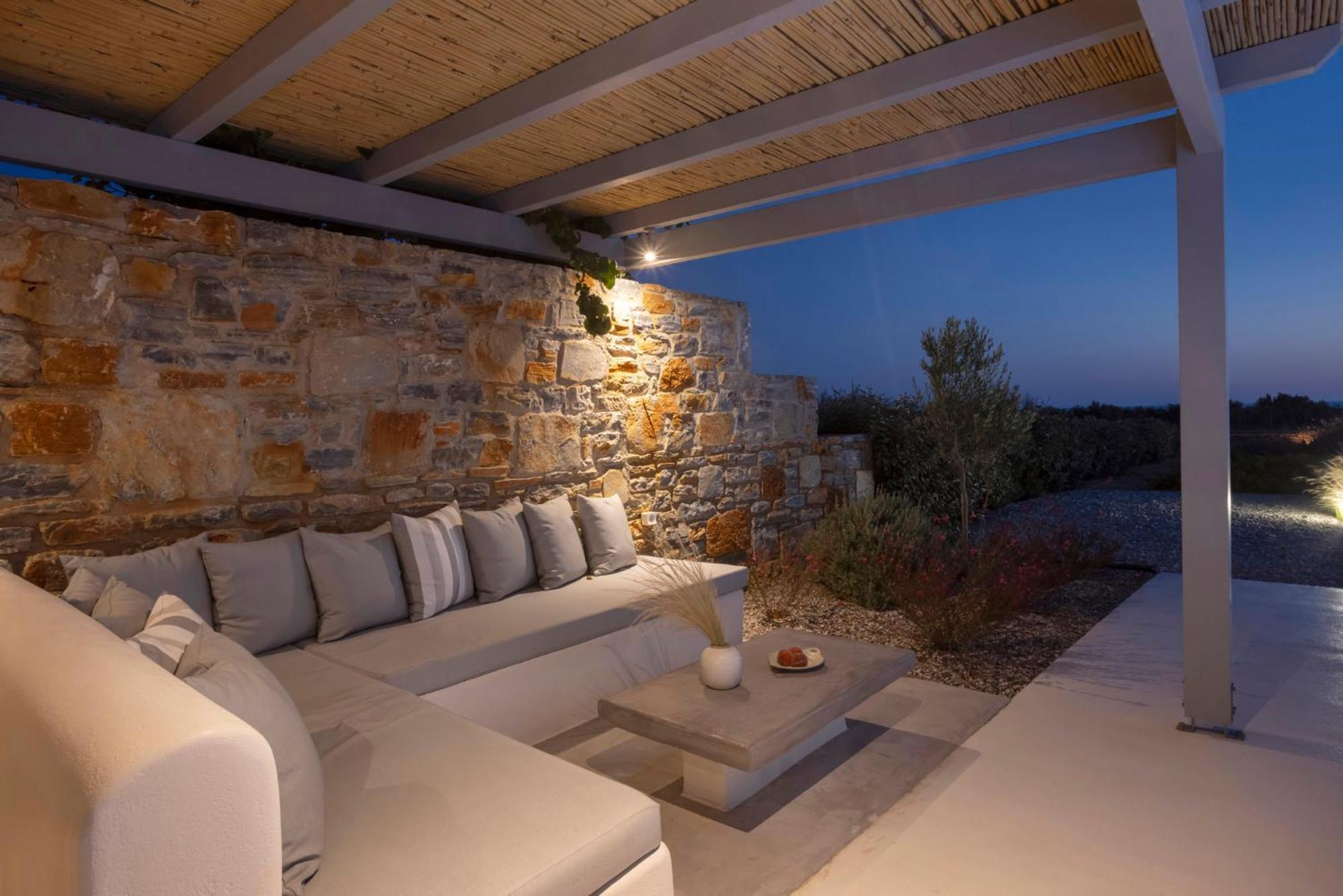 Villa Dione, Private Pool & Seaview By Naxos Dunes Kastrákion 外观 照片